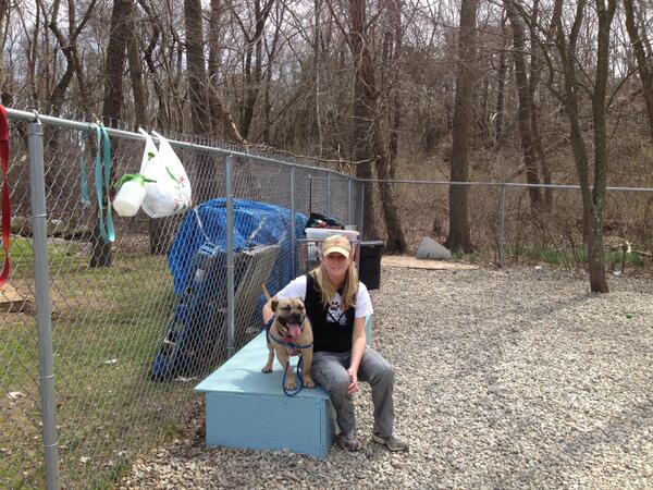 Our sweet, petite Carolina is looking for a new home.  She lived with kids and loves everyone!  Come see her today..