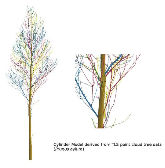 MDPI EnvironEarthSci tweet media