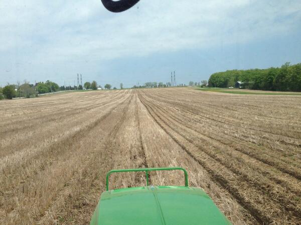 This is no-till for sure!