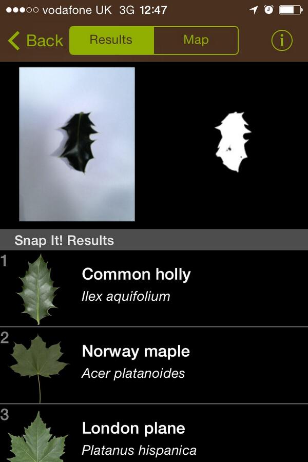 Leafsnap App Uk / The Best Plant Identification Apps The Plant Guide