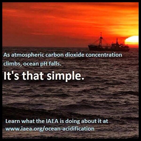 On Instagram? iaeaorg just posted a photo and tagged #OceanAcidification