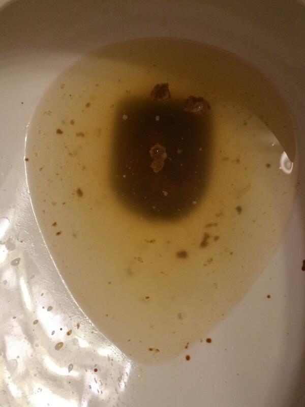 The_DailyDump's tweet photo. @danieltosh Morning Explosion #goodmorning http://t.co/4GDbinci69