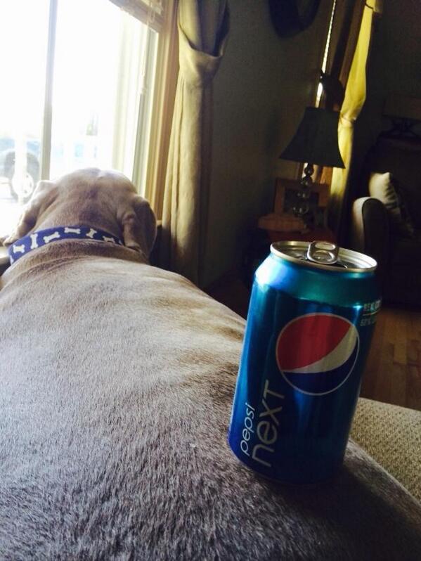 Man's best friend will bring you a Pepsi NEXT. Thanks for the picture Linda!