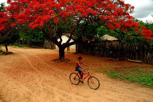 Georgiano_Neto's tweet photo. #bomdia

Caminhos do sertão http://t.co/kqUYgqaAWU