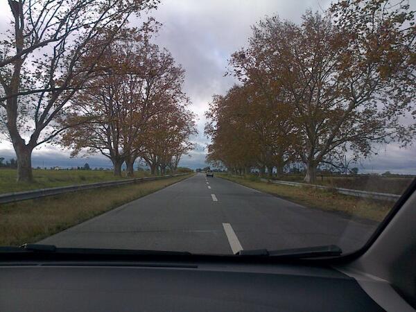 valegiecco's tweet photo. Naranja otoño. http://t.co/W29RfzmrdF