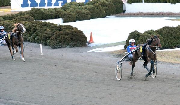 10 Dream Run (V64-3) är en bra häst. Nu är han tillbaka efter vila och läget över distansen drar ner chanserna.