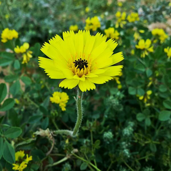 pic_alkharj's tweet photo. ويك اند سعيد 😄 http://t.co/yWo6HDtrdz