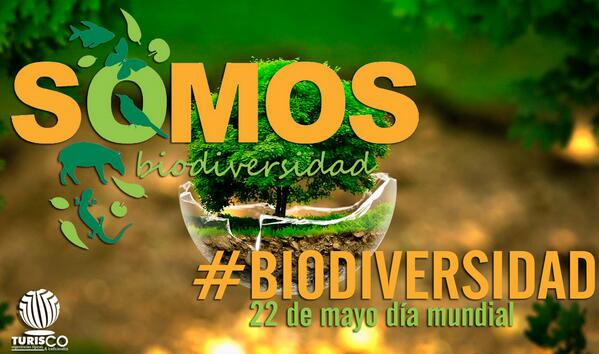 visitasantco's tweet photo. #Biodiversidad, hoy es el día mundial. pregunta: cuidas tu entorno ambiental? visita http://t.co/GRaLlvTLNB http://t.co/EJNwbeF9LE
