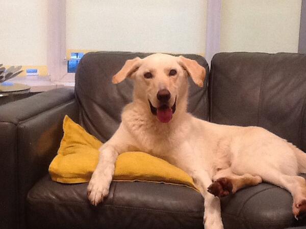 So lush !!!! #lovehimtobits