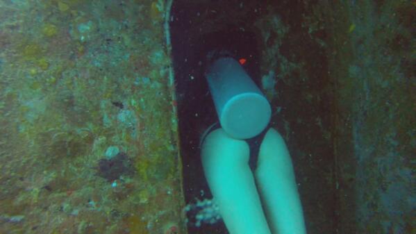 ZoDriver's tweet photo. Belfie taken 30metres under the ocean hahaha! #cheeky #fishslut #scubadive http://t.co/ppUVfGD863