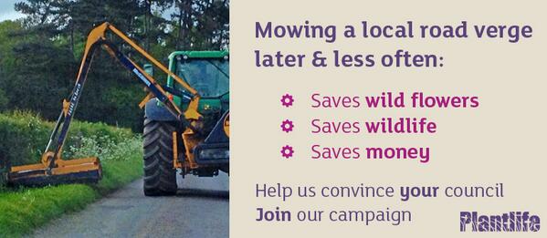 Love_plants's tweet image. Would you like your Council to save wildlife as well as money? Please RT &amp;amp; sign our petition #saynomow