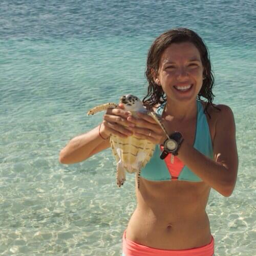 arianuchis's tweet photo. Hoy se estrena ¡Al Aire Libre! Comienza con tortuguitas y lo podrán ver a las las 8:30pm por http://t.co/cHLJxjrvcG http://t.co/LV3dIoe6B7