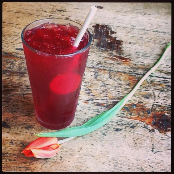 Our Ginger Hibiscus Cooler is the perfect treat to brighten up a drizzly day! #refreshing #gryphlife