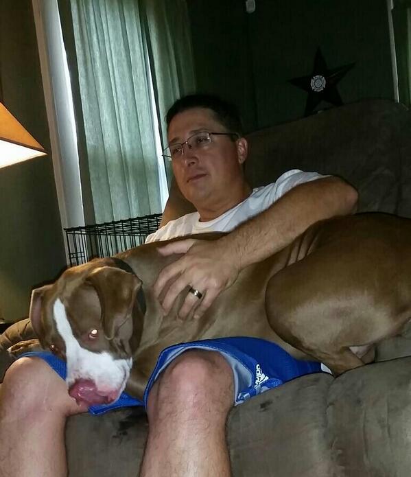 thfd316's tweet image. 80# lap dog.