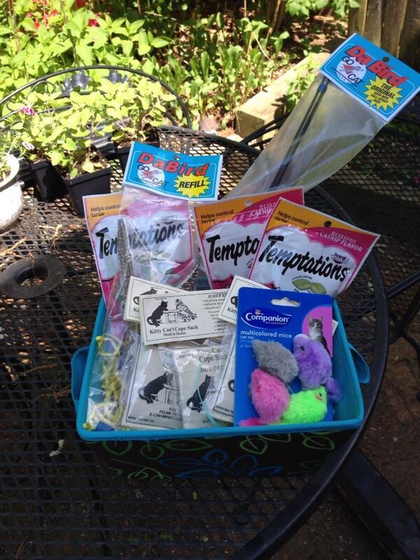 BarnabasKitten's tweet photo. Taking bids for dis pawsome gift basket filled wif my favrits! Benefits #MMAuction http://t.co/QCnKvh782m #wlf Please RT :)
