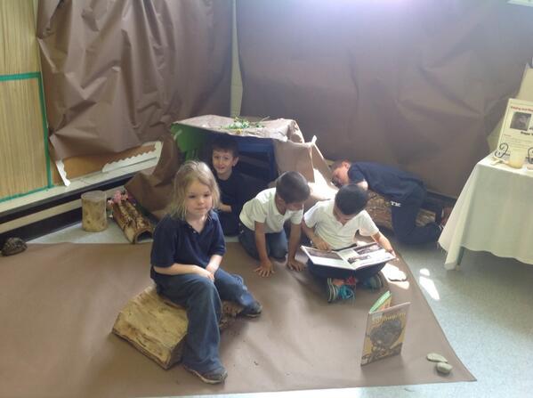 Our little worms relaxing in the wormery.