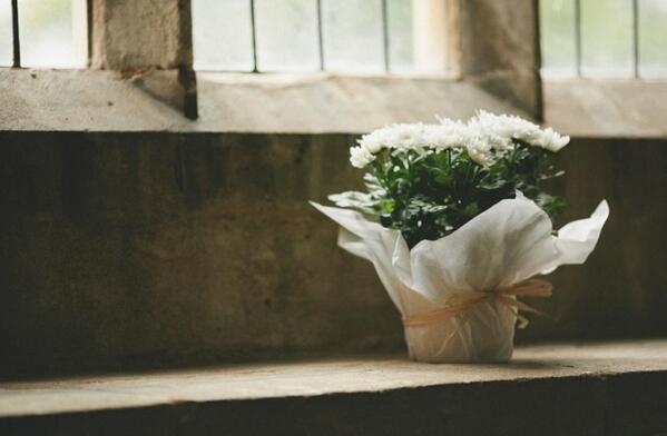 factory_photo's tweet photo. It's the little details that help form a story of your big day http://t.co/X05EQauzax http://t.co/NyS2xIQE64
