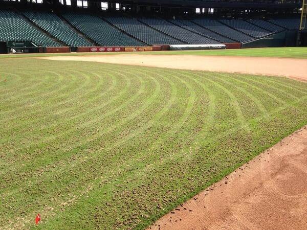 First we core, then we verticut, then we scalp at 3/8'. #byebyerye #transition