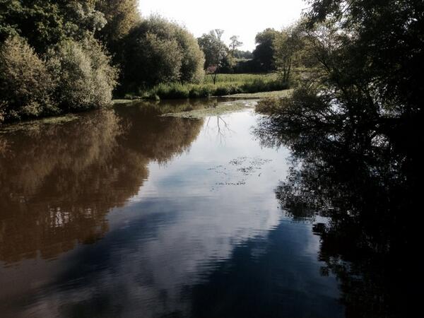 Permalien de l'image intégrée