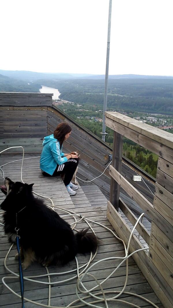 DaniellaTarberg's tweet photo. Tog en promenad upp för trapporna i hopptornet ikväll 😊💪👍 #underbarutsikt http://t.co/31qsxakkwo