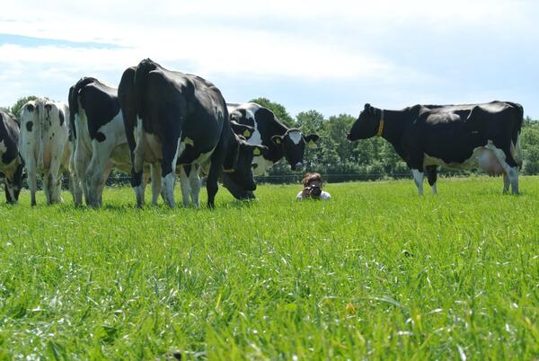 <a href="/FotografeEls/">Els Korsten</a> Was een superleuke workshop Koeienfotografie vanmorgen bij de #boerinnenstudieclub