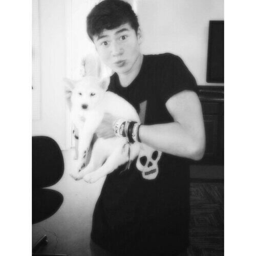 CalumxHccd's tweet photo. The doggy doe 👌 http://t.co/j357Q1R95Z