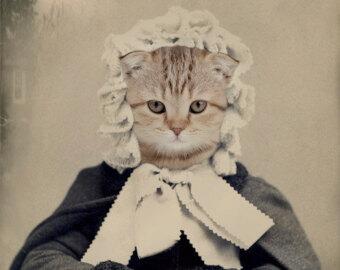 BethDies's tweet photo. Hi. Hello. Hi! This will be mostly cat videos, probably. We'll see, I guess! http://t.co/xcmqfYwHNH