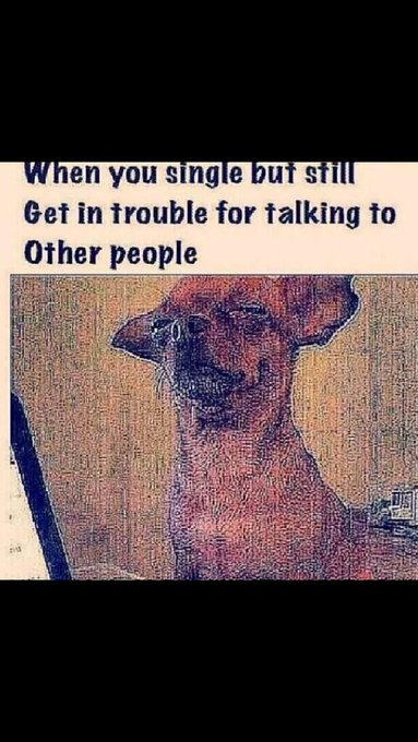 My life🙈 http://t.co/9ylyj0VU8o<a href="/tag/lessgo"class="tags"><span>#lessgo</span></a>