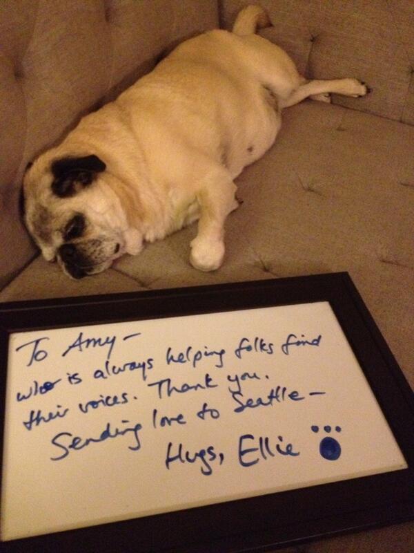 VOICESConcert's tweet photo. I pleased a pug by helping fund @JillZmud 's album! It launches May 23rd! For info visit http://t.co/9N5rpyb8Po http://t.co/z5EM7edVam
