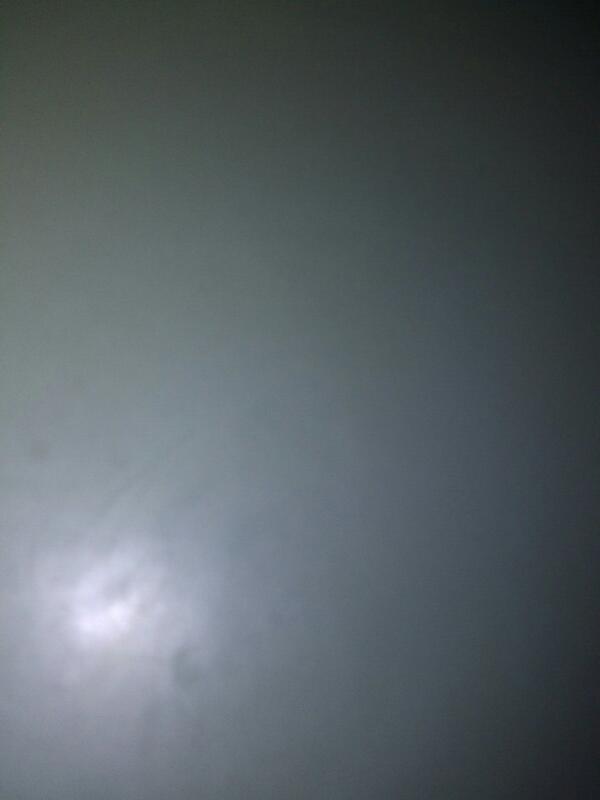 testeca_sw tweet picture