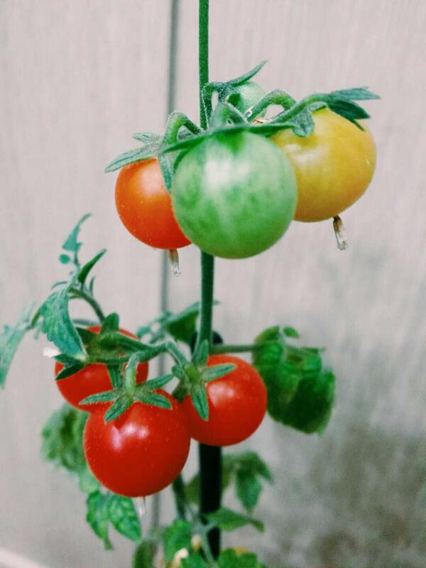 Jiahhhhh chukaeee“<a href="/B1A4_CNU/">신우</a> 주황이. ”