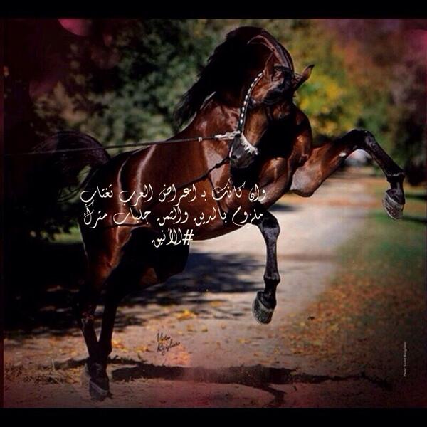 وان كانك بـ اعـراض العرب تغتاب
ملزوم بالدين والثمن جلباب سترك ☝️