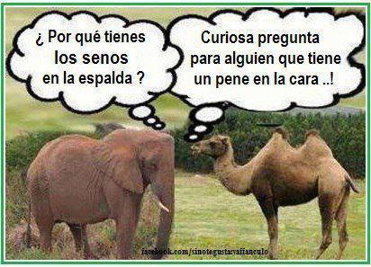 HumorATope's tweet photo. Todos tenemos algo que callar. http://t.co/nZbTlEvt79