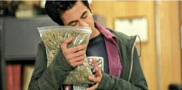 stillblazingtho tweet picture
