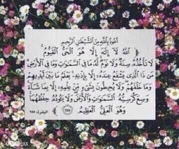 Lujain880 tweet picture
