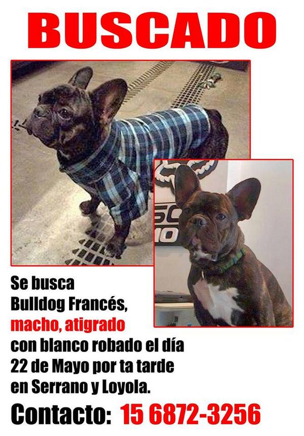 kaoreiro's tweet photo. @malepichot POR FAVOR, DIFUNDIR. RT ! http://t.co/lsG7j31IQ2