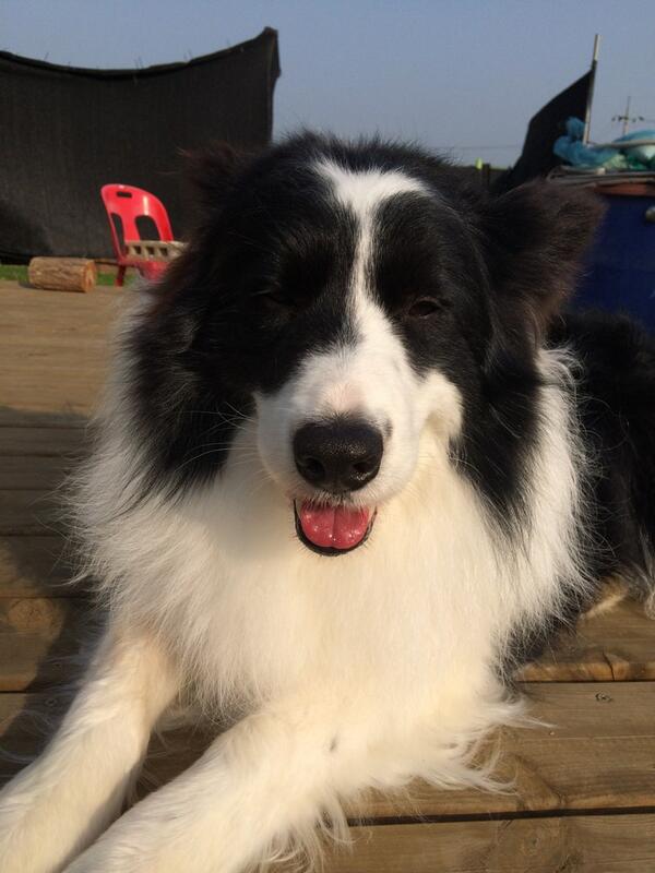 dalami3's tweet photo. 햇볕에 자연건조!!!! http://t.co/uzlyQPPEEW