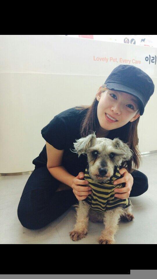 이런옷을  입고있었어요.사람말도 곧잘 알아듣고 사랑을 많이 받은아이같아요.. 논현동 두산위브아파트근처 살던아이같아요.주인좀 찾아주세요 수술을 해야하는상태같다는데 수술은 어떻게든 저랑 이리온에서 도와주기로했어요