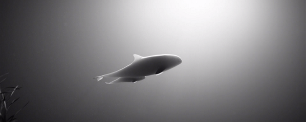 asjub1's tweet photo. Court métrage : "The Last Memory". http://t.co/aPH0bxd5SO #animation #3D @extraweg http://t.co/dPSEbDxlG0