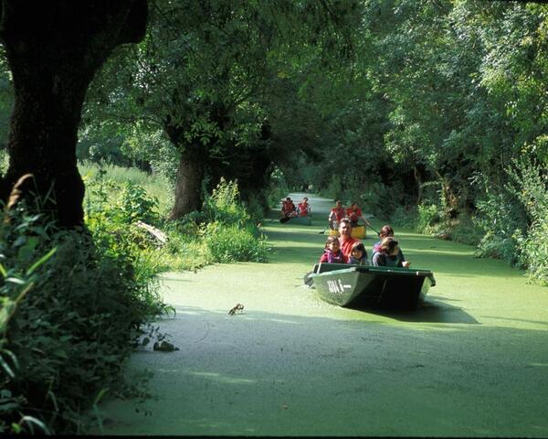 Sample_France's tweet photo. #france #marais #poitevin #nature #DeuxSèvres #sampleoffrance http://t.co/BkLYKZ2pqj
