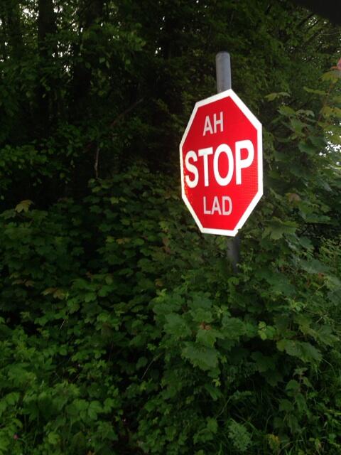 NickyByrne's tweet photo. The road signs in Munster are quite relaxed.. http://t.co/Z19LxkHtEl