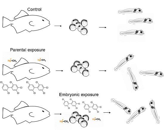 MDPI ChemistryMatSci tweet media