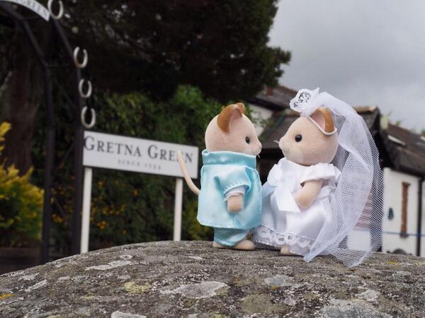 sylvanian families bride and groom