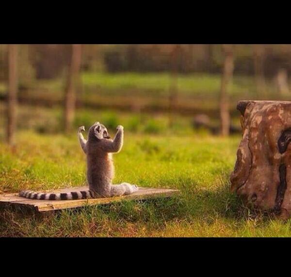 Come down to 179 York St Subiaco <a href="/9am/">9AM NEWS</a> tommorow morning to #getabum #getsomeabs #pilates #STOTT_PILATES #bodyworkssubi