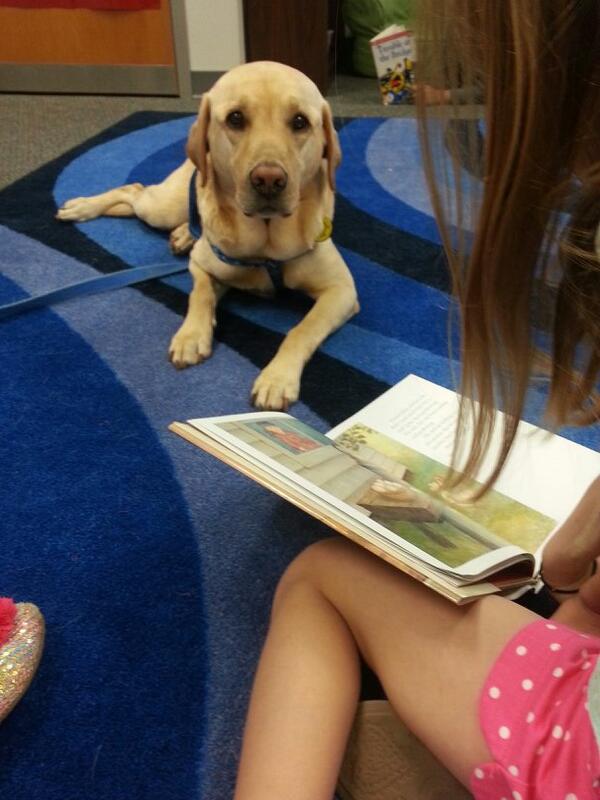 MariyahMB's tweet photo. Zeke came back to listen to us read. We love reading to him!!! http://t.co/JsBHSdfBCN