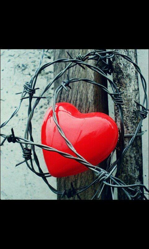 منال (@mmn1al) on Twitter photo 