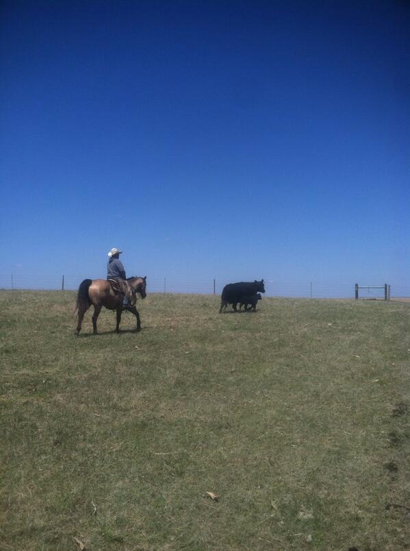 Riding for the brand <a href="/JakeBauman1/">Jake Bauman</a>