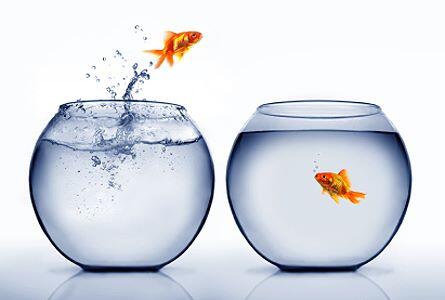 PC Multicultural tweet media