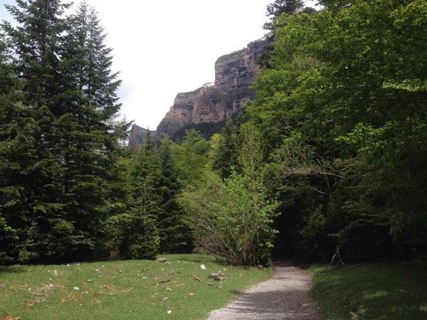 luismberzosa's tweet photo. El bosque de Ordesa, camino de @refugiodegoriz. Toca subir a trabajar, pero con este paisaje pesa menos la mochila http://t.co/sqdi4fZVxY
