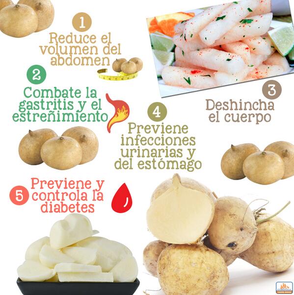 All 94+ Images Que Es La Jicama En Venezuela Sharp 09/2023